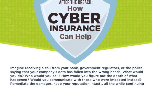 After the breach: How Cyber Insurance can Help