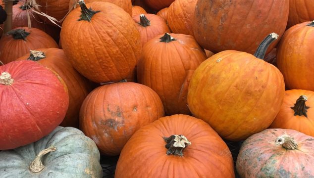 Yummy Fall Foods