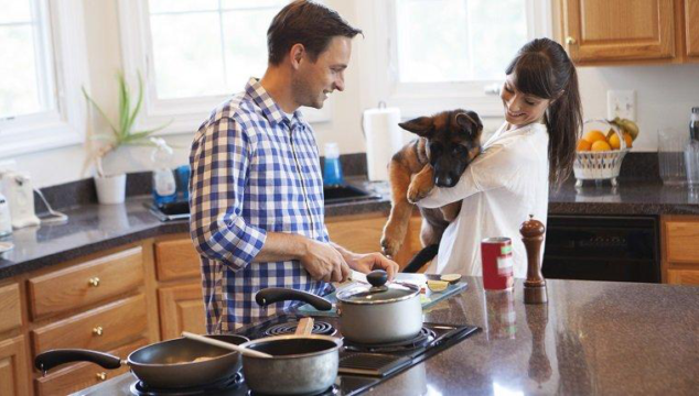Best Dog Food For Your Dog – What You Need To Know